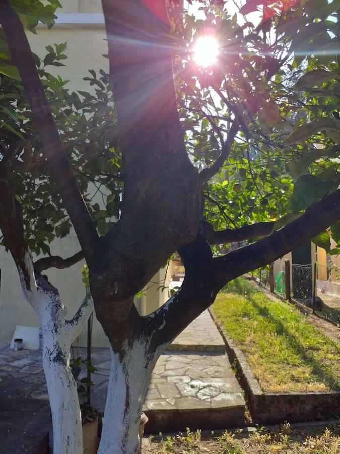 Villa Rosa Garden House Corfu  Exterior foto