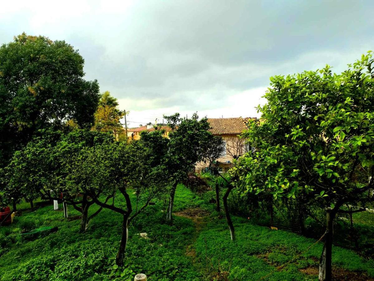 Villa Rosa Garden House Corfu  Exterior foto
